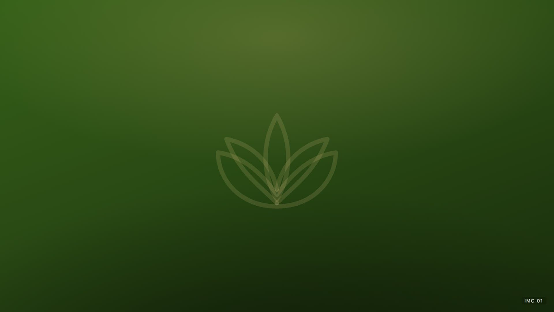 Harmony of Body & Mind